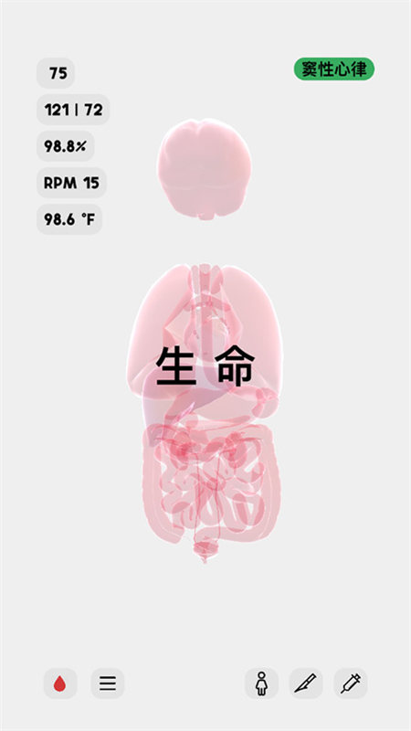 LIFE图3