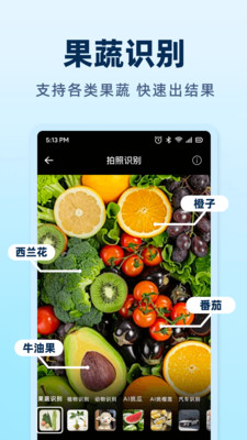 AI挑瓜app图3
