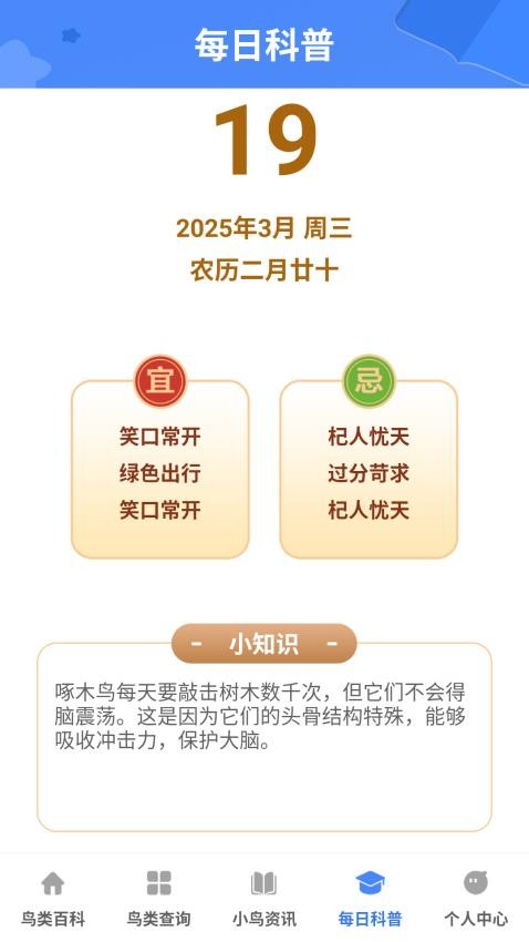小鸟合不停图1