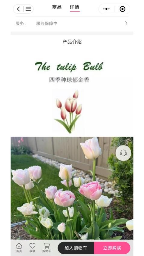 七彩荔枝软件图1
