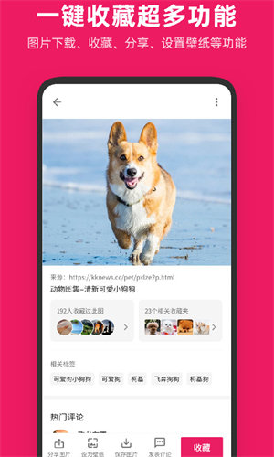 图片搜搜app图1