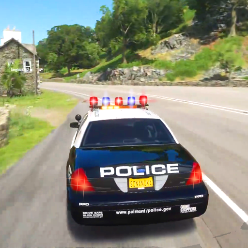 都市警车3D游戏