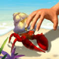 赶海日记手游
