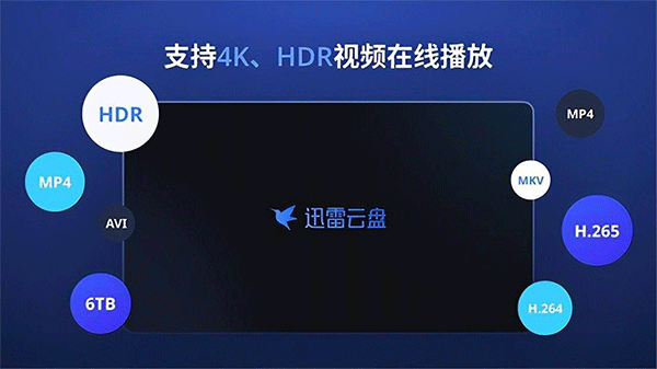 迅雷tv版图1