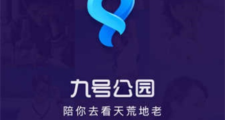 现在最火的约会软件