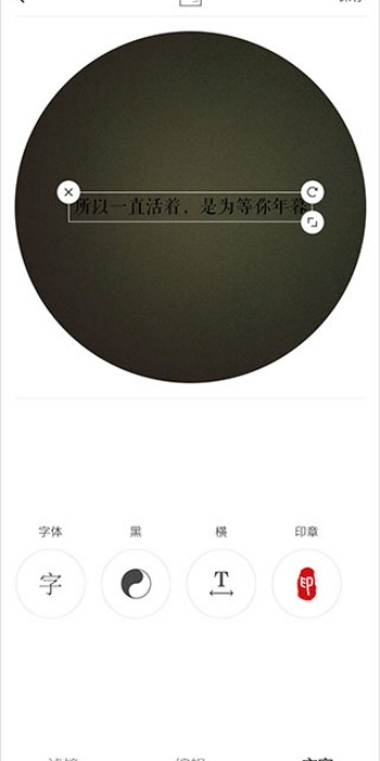 videostar官方正版图1