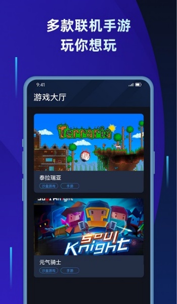 蒲公英联机平台app图2