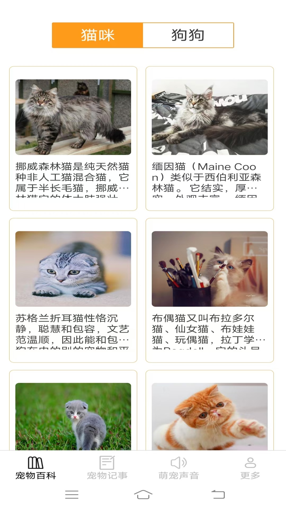 宠趣点点官方版图3