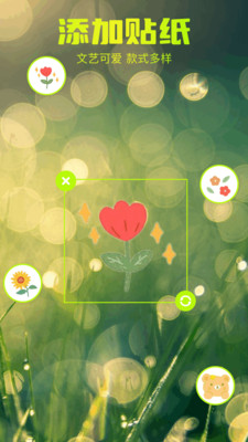 相册图库管家app图2