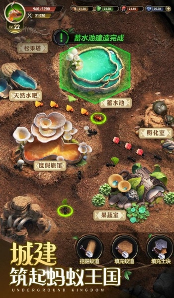 小小蚁国37官网版图1