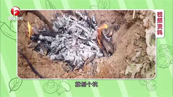 小飞电视tv电视版图2