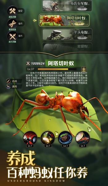 小小蚁国37官网版图2