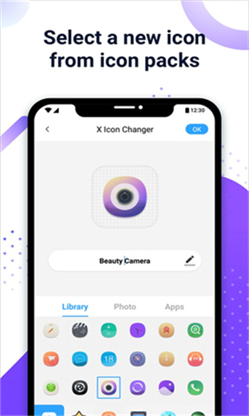 X lcon Changer图1