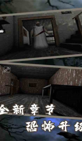 恐怖老奶奶破解版图3