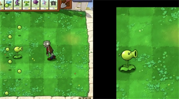 植物大战僵尸吃席版图1
