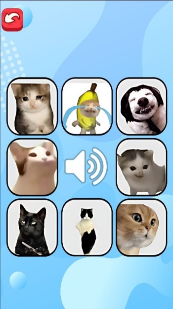 猫meme考试游戏图2
