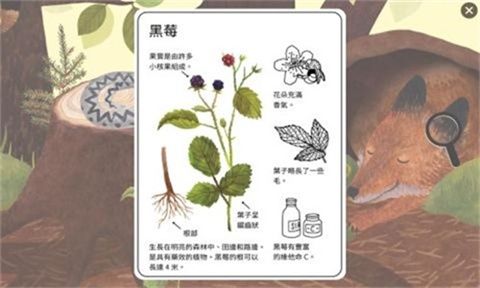 小棕鼠百科手机版图3