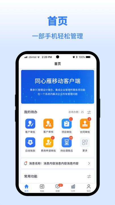 同心雁SERP软件图4
