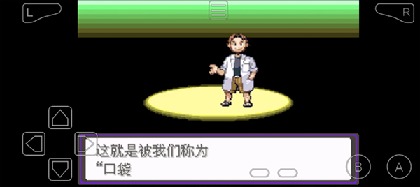 口袋妖怪漆黑的魅影6.0官方版图2