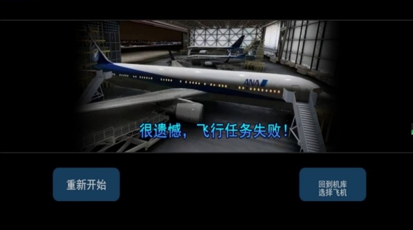 虚拟飞行模拟图3