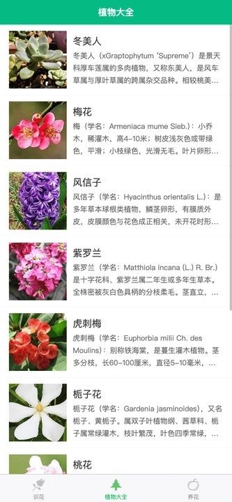 竹馨时光吧app图3