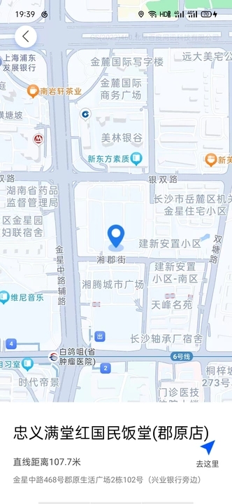 手机实况语音导航app图1