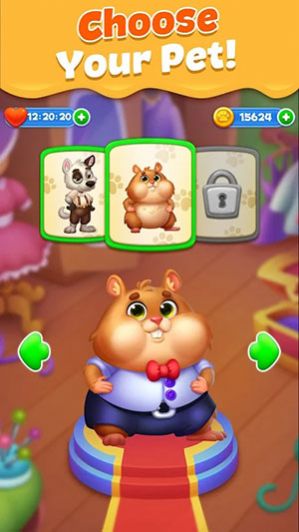 Pet Candy Puzzle手机版图2