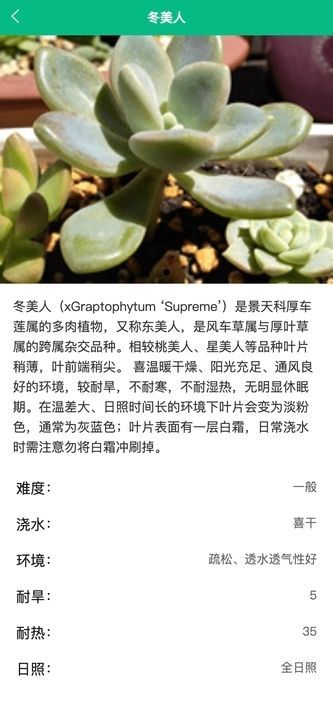 竹馨时光吧app图2