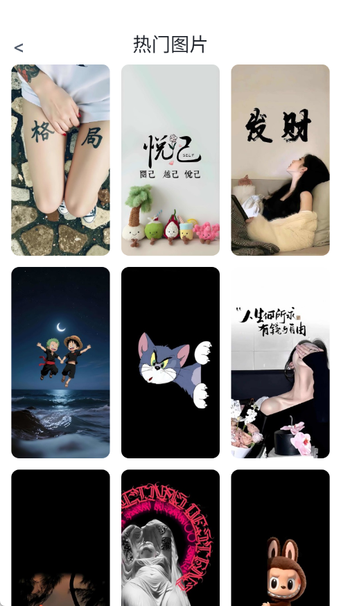 RawPix软件图3