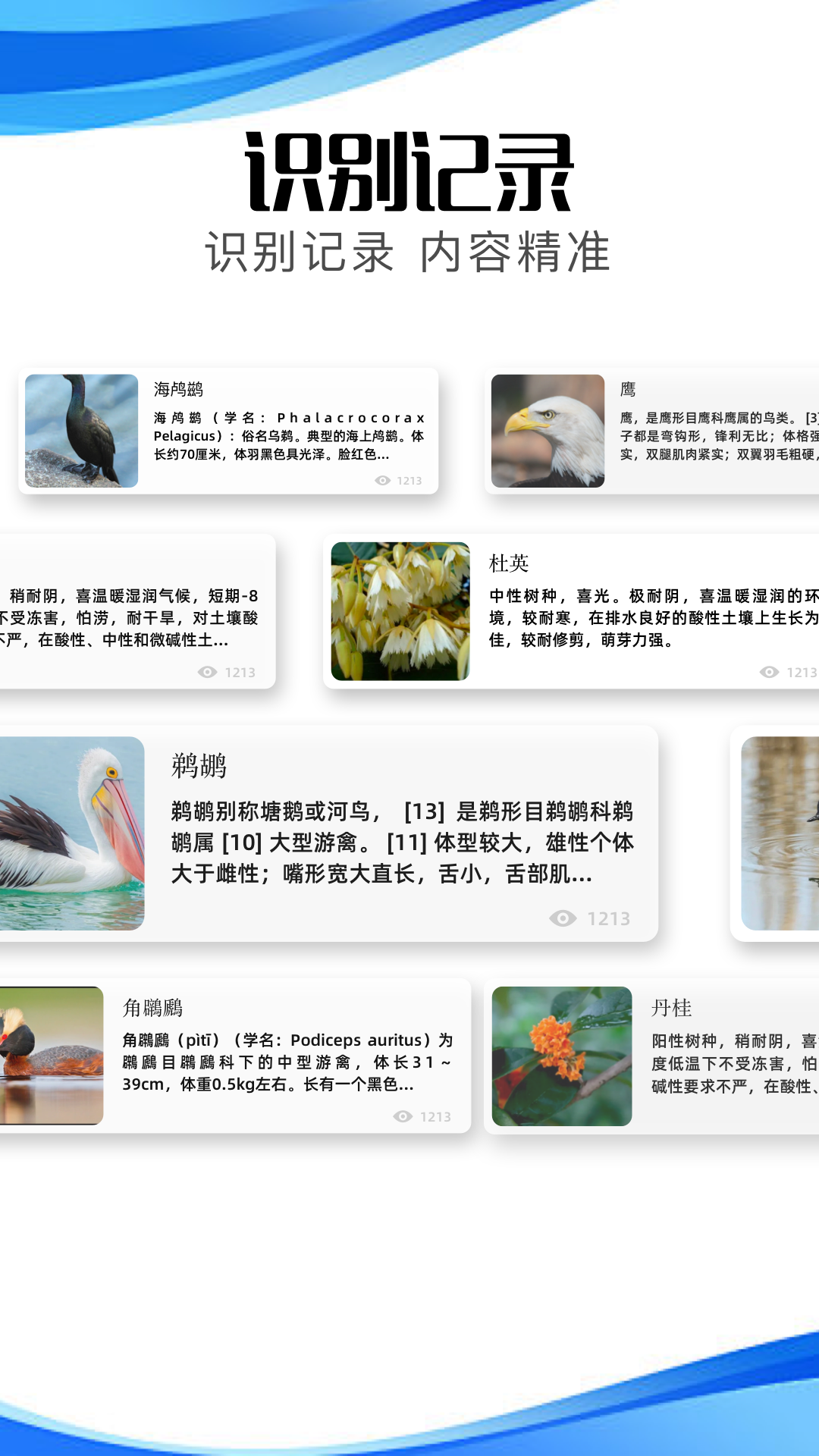 冷眸软件图2