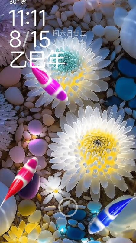 荷花锦鲤壁纸app图1