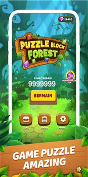 Puzzle Block Forest游戏图3
