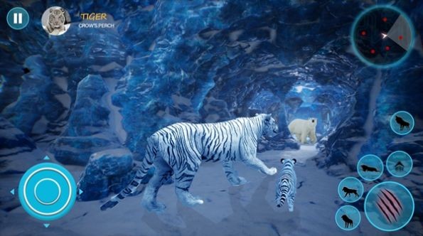 Wild White Tiger Family Sim游戏图3