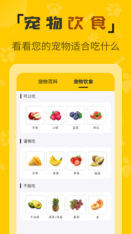 人猫翻译机app图2