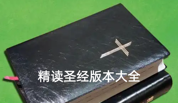 精读圣经版本大全