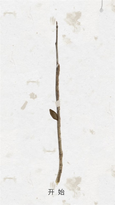 Song of Bloom手游图3