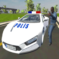 Real Police Car Game游戏