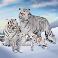 Wild White Tiger Family Sim游戏