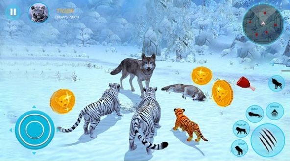 Wild White Tiger Family Sim游戏图1