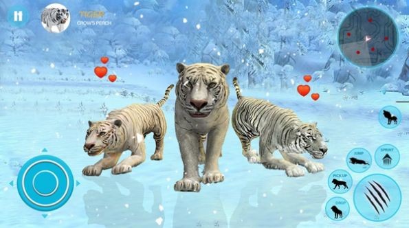 Wild White Tiger Family Sim游戏图2