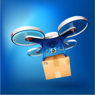 Drone Cargo游戏