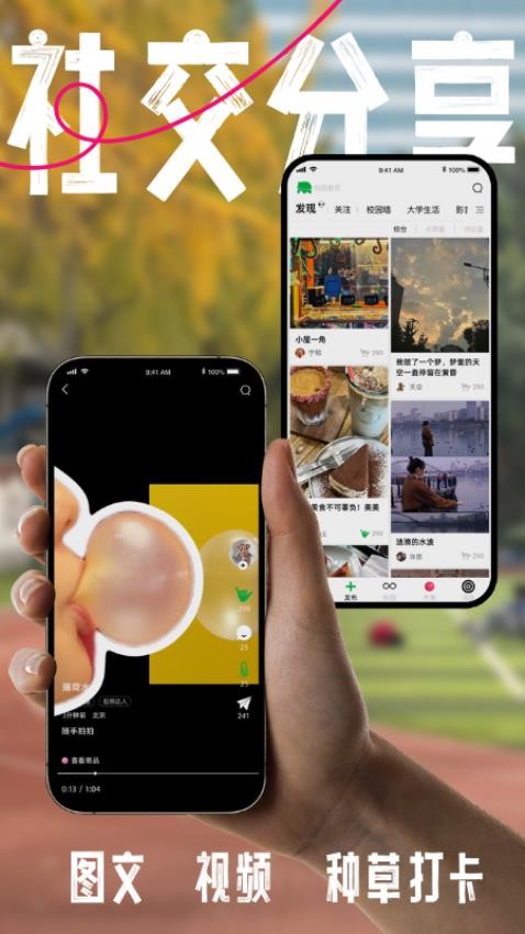 桃象app图1