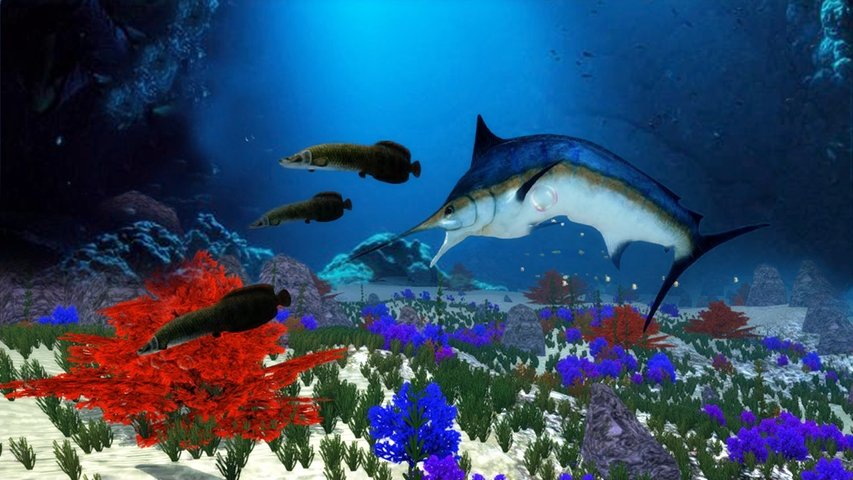 The Blue Marlin图1