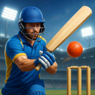 板球对决：T20之战（Cricket Showdown: T20 Battle）游戏