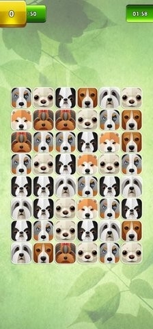 狗狗猜猜乐游戏图1