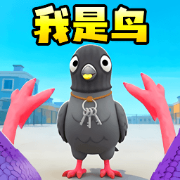 鸽子大冒险游戏