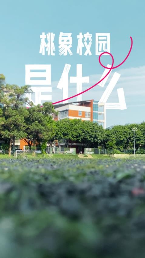 桃象app图2