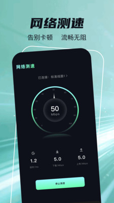 鲤鱼加速器app