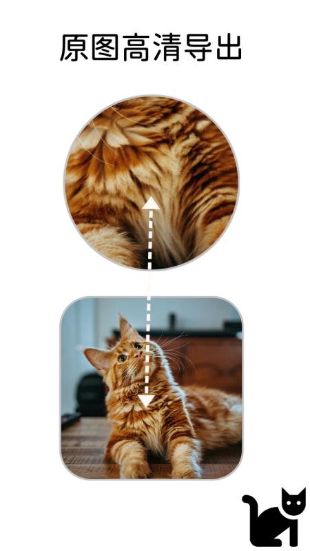 小猫边框软件图3