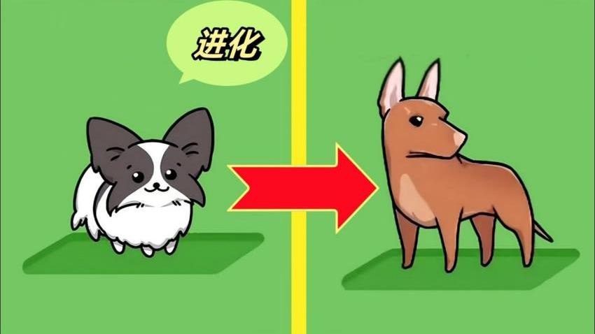 动物合成大作战图2